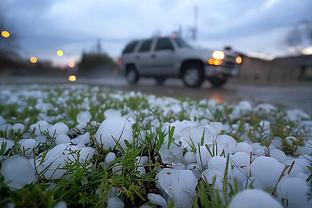 苹果雷竞技下载